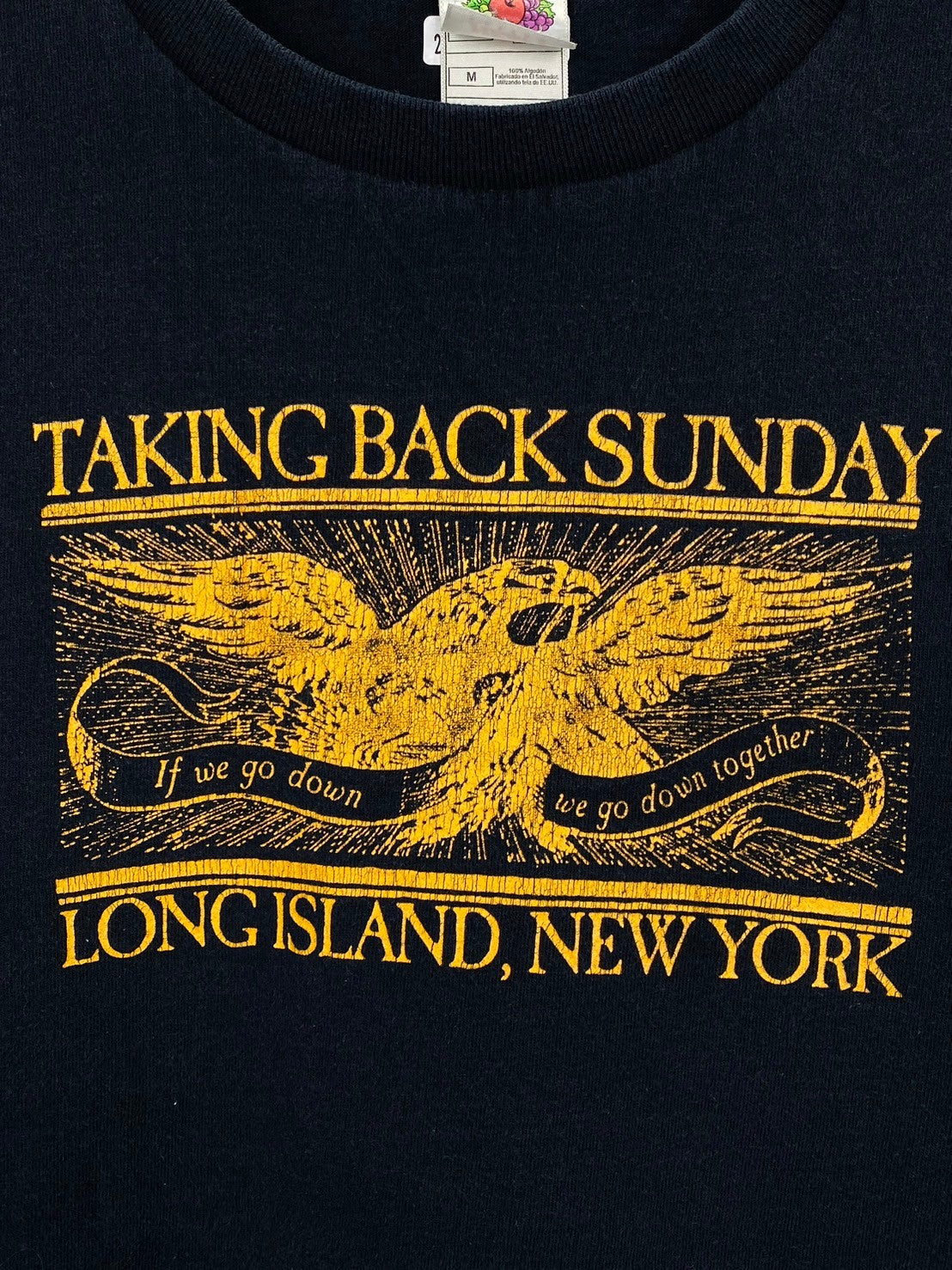 Vintage Taking Back Sunday Long Island NY T-Shirts DO174